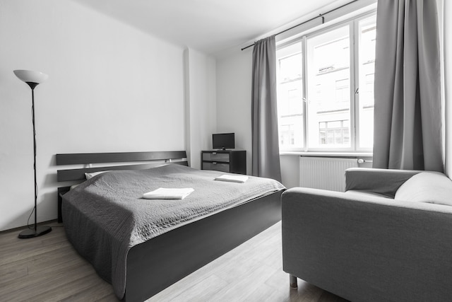 プレミア アパートメント オールド タウン フラデブニ