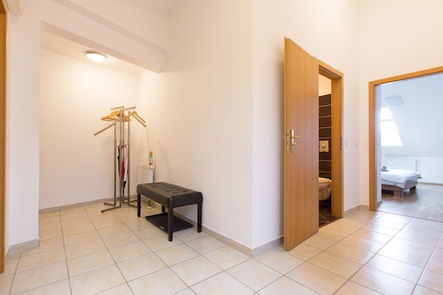 プレミア アパートメント ビシェフラド