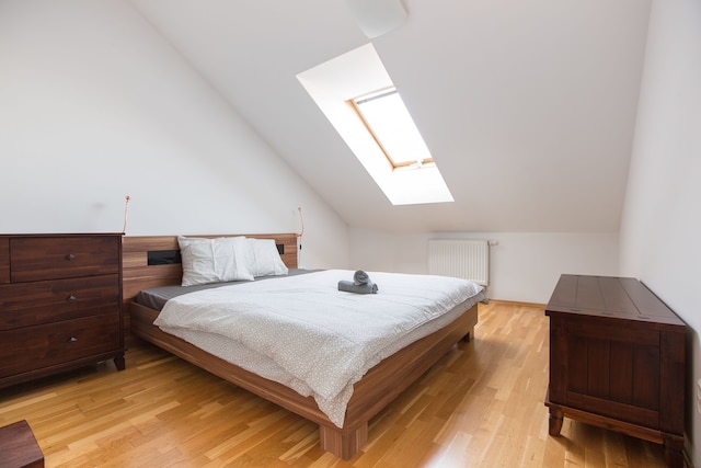 プレミア アパートメント ビシェフラド