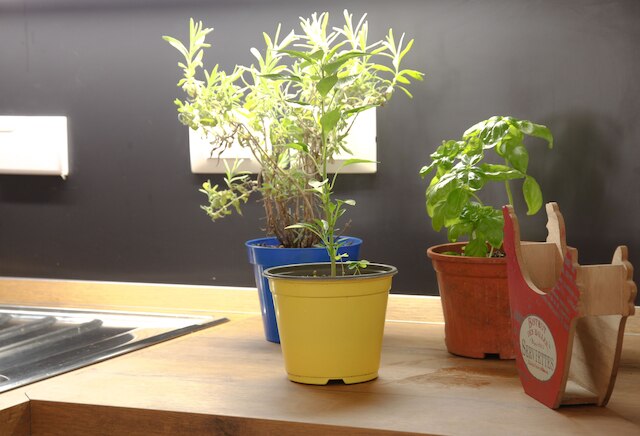 シークレット ガーデン ヴィア サン ロッコ - ボーのフラット