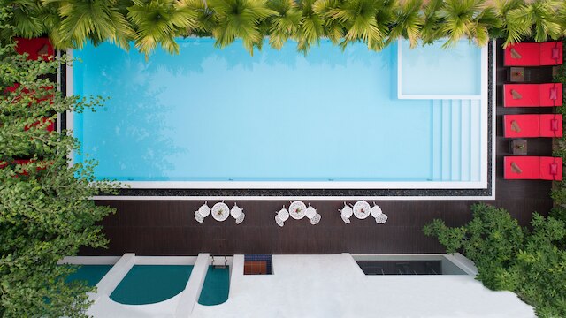 マネ コロニアル クラシック