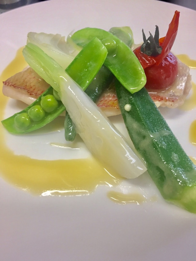 スカイペンションどうだん