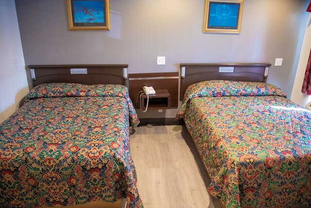 スターライト イン ラ ブレア