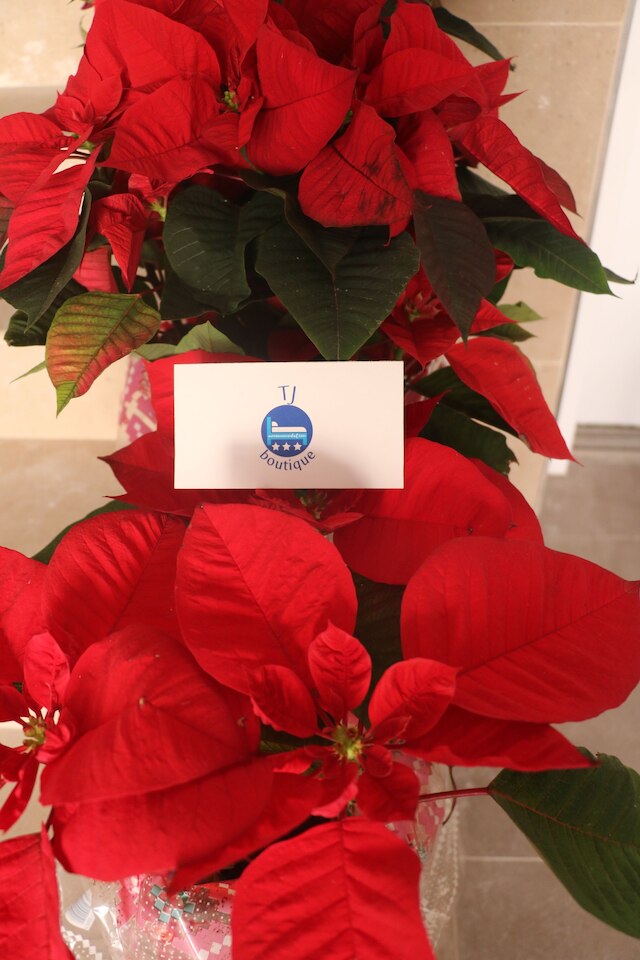 TJ ブティック アコモデーション