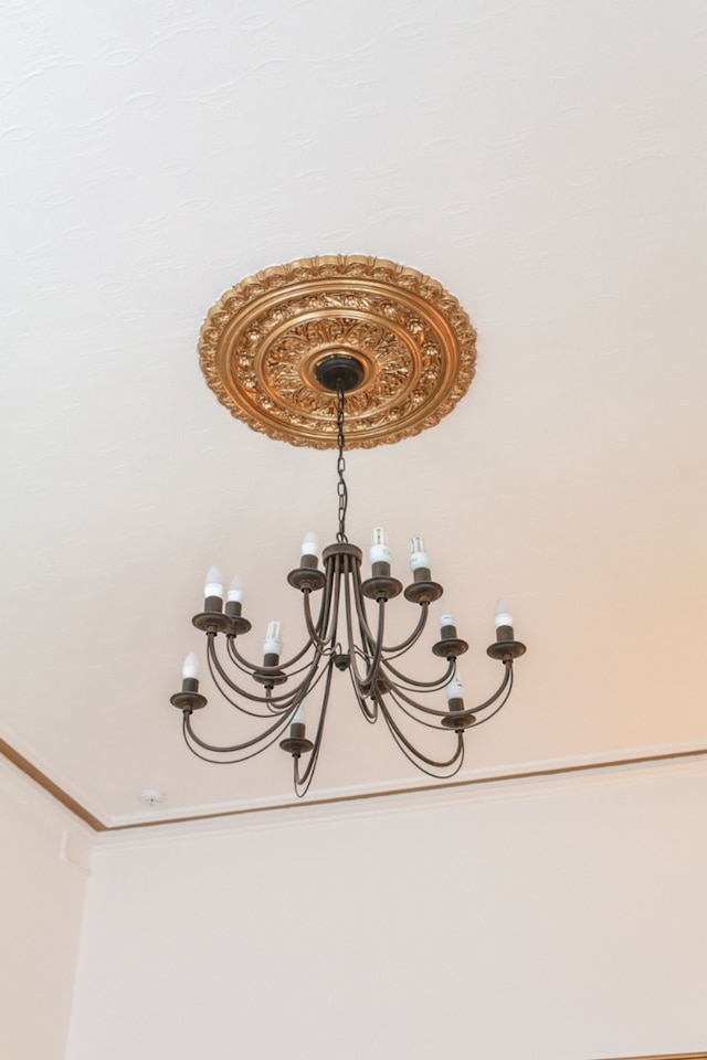 シティ スタジオズ - ロドニー ストリート