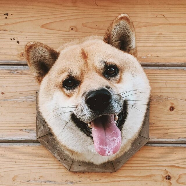 シュアン ディン ベン アー グ (玄町本二家)