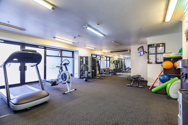 オークランド セントラルにある広々としたアパートメント