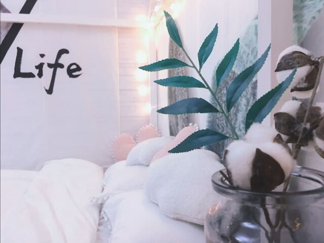 AG ハウス 海潮路 ブランチ