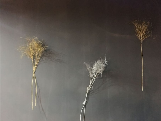 AG ハウス 南碼頭路 No.1 ブランチ