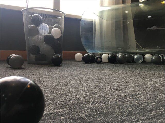 AG ハウス 南碼頭路 No.1 ブランチ