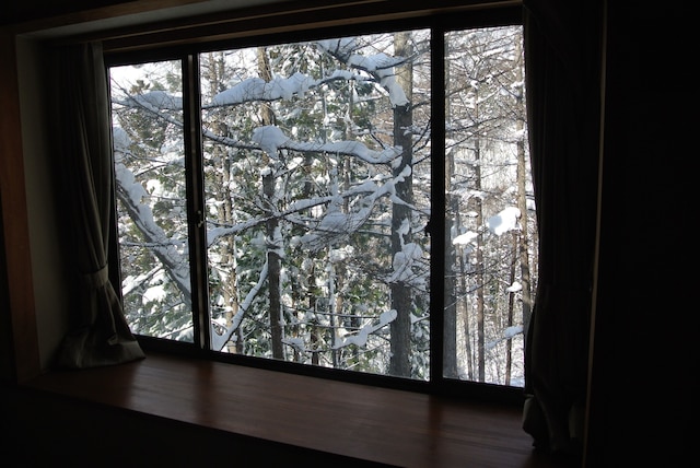 ホワイトツリーロッジ