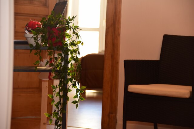 ベロベロルームス & アパートメント