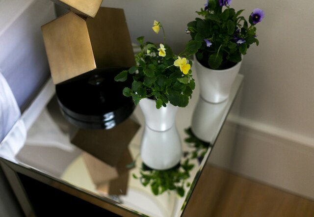 ダルブレイ ストリート