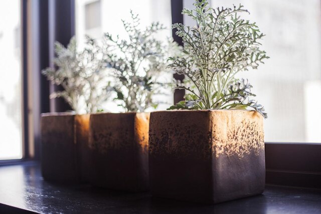 ワンジア シャオシーメン B&B