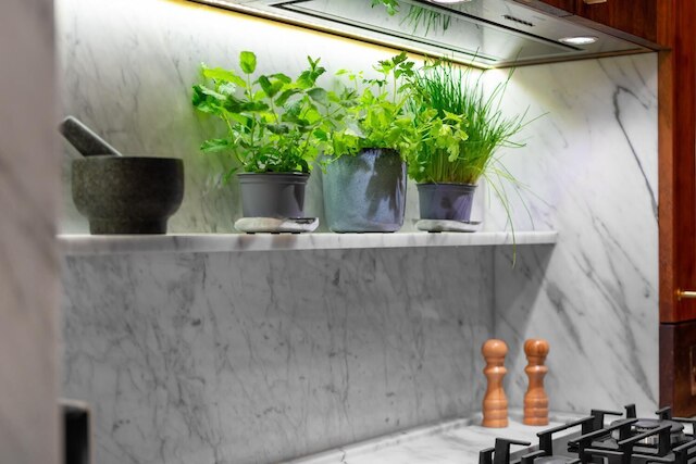 ミュージアム ビュー