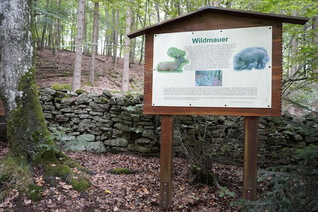 ホテル ホーエンワァート フォーラム