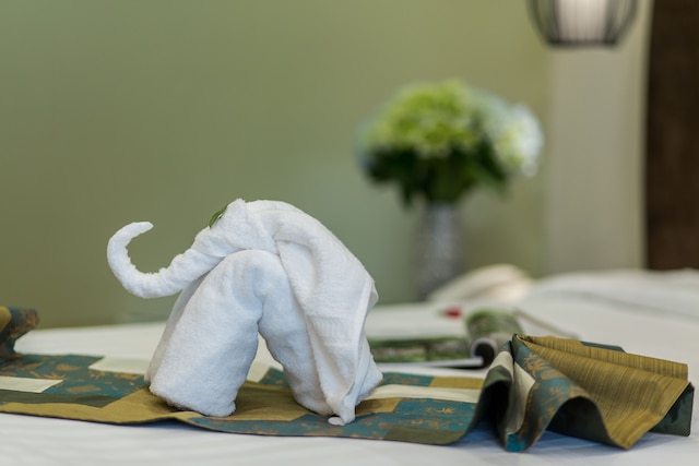 スプレンディッド パーライト ハノイ