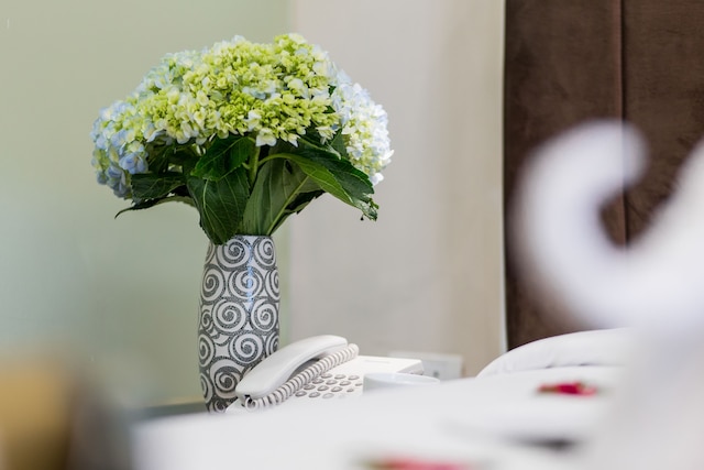 スプレンディッド パーライト ハノイ