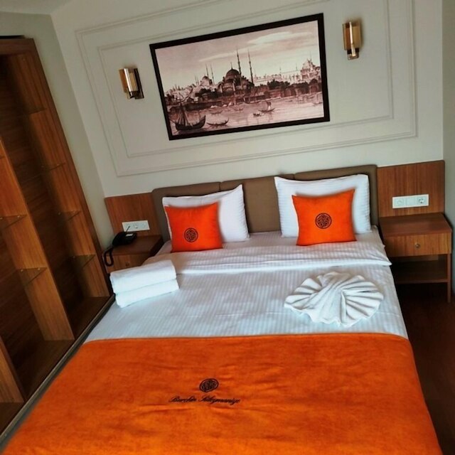 バーキン スレイマニエ