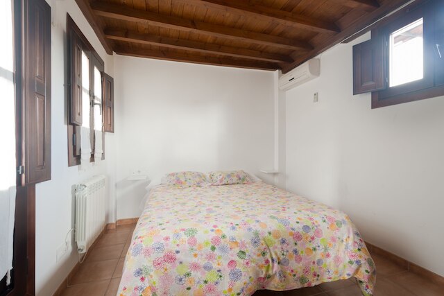 ホリデイ ホーム カーサ デル アルバイシン