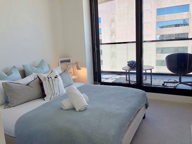 デラックス アンド ブランド ニュー レイクサイド アパートメント