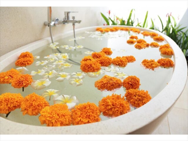 ザ アメルタ プライベート ヴィラ ウブド