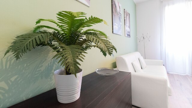 イタリアンウェイ アパートメンツ - メルロ 3