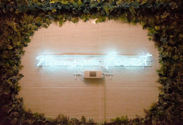 ナムサン フォレスト シティ