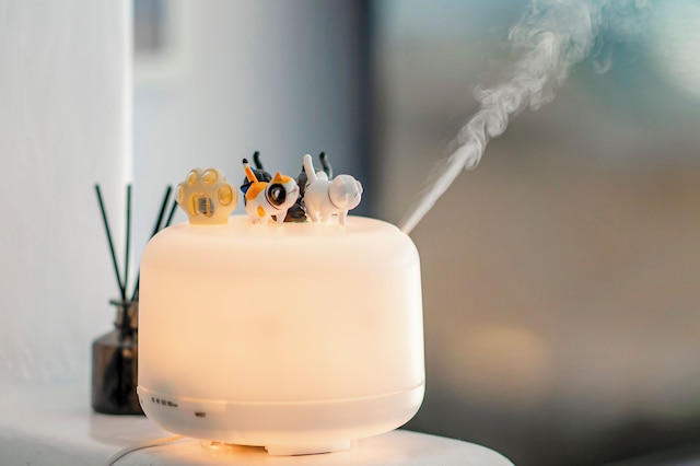 キャット アット グリース