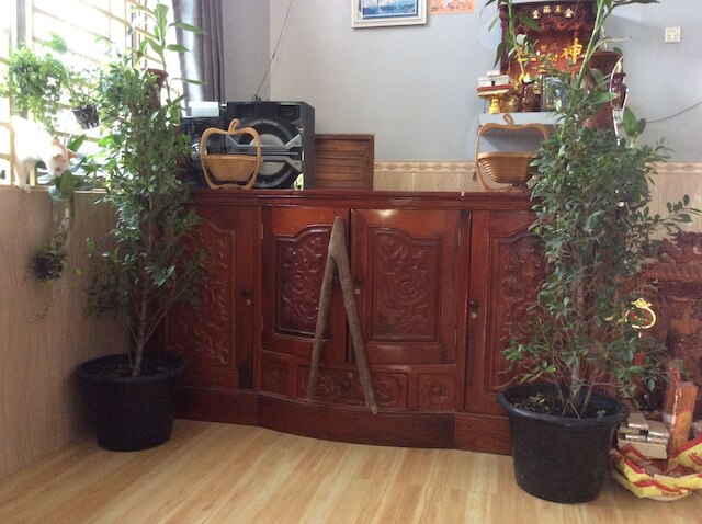 リアルコム ホームステイ