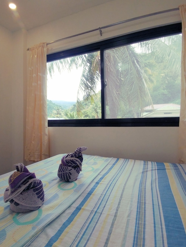 ドルフィン ベイ リゾート プエルト ガレラ