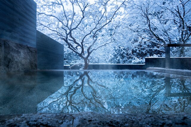 星野リゾート 界 仙石原