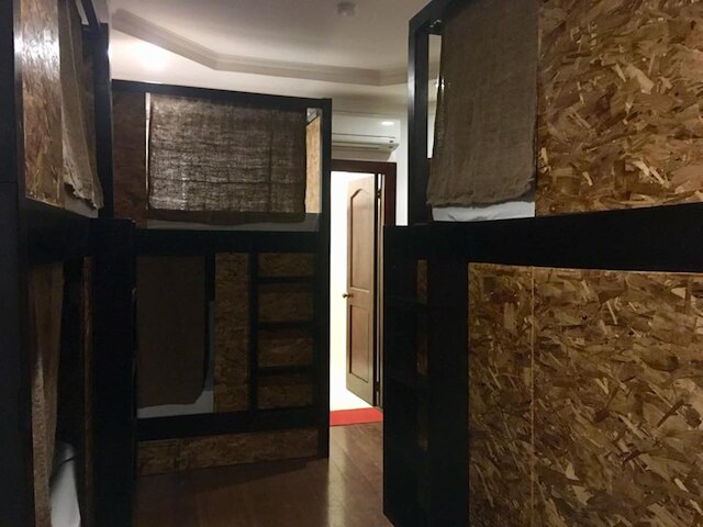 スピニング キャット ホステル - 大人限定