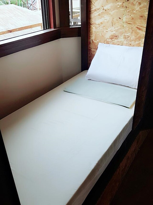 スピニング キャット ホステル - 大人限定