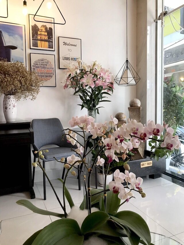 ルイ ホテル - ブイ ヴィエン ウォーキング ストリート