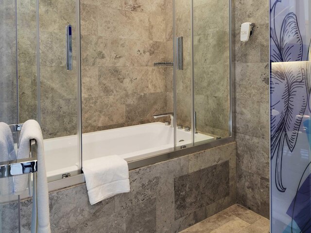 イビス スタイルズ イスタンブール アタセヒール