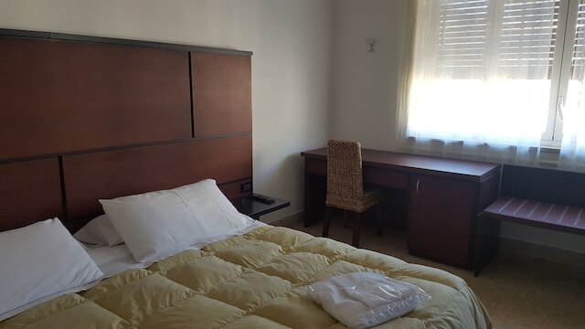 ダブル H ウンゲリア