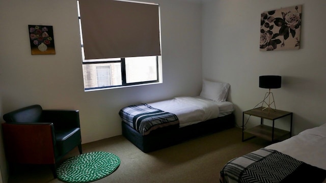 シドニー プレミアム アコモデーション - セントラル