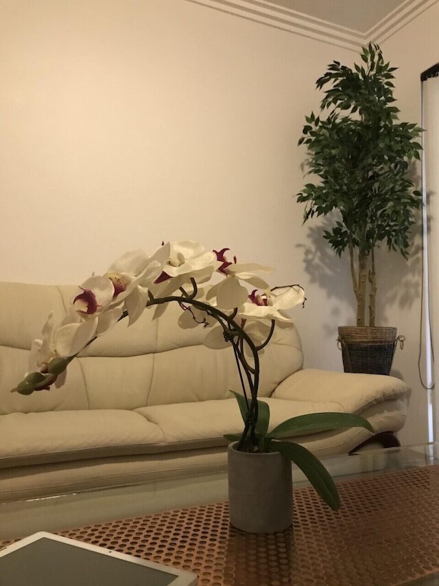 シドニー プレミアム アコモデーション - セントラル