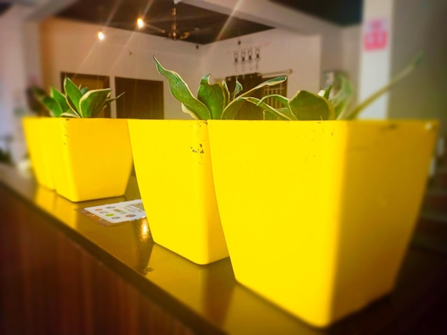 トランジットドーム - ホステル