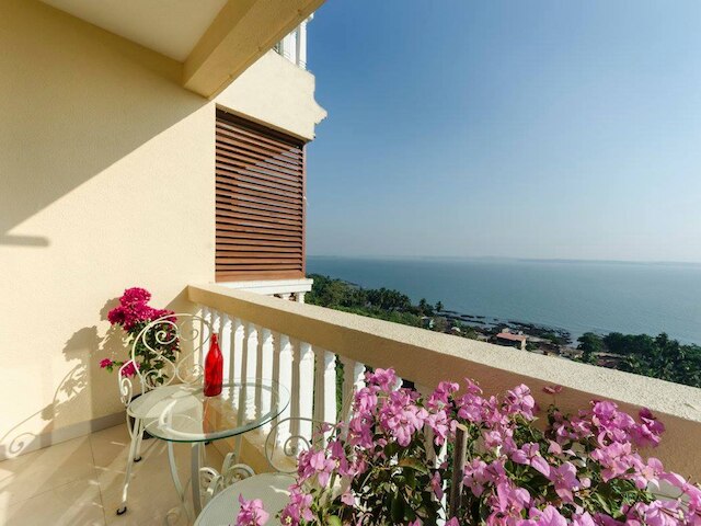 サフロンステイズ カボ デ ゴア