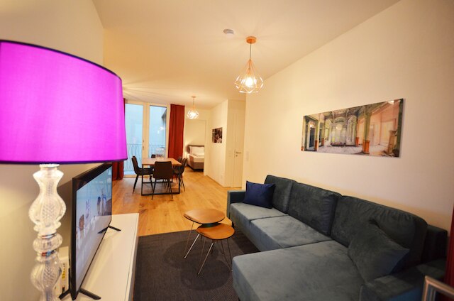 プレミアム レジデンス ニア パーラメント