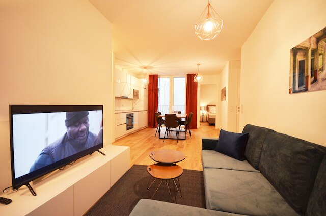 プレミアム レジデンス ニア パーラメント