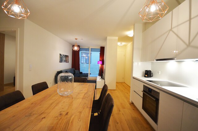 プレミアム レジデンス ニア パーラメント