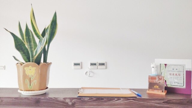 ティプシー ホテル