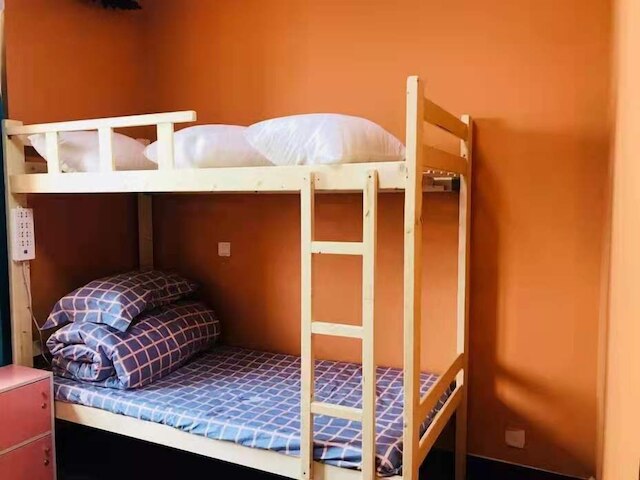 ピンクホステリング インターナショナル