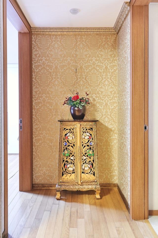 カンナム メトロ プラチナム