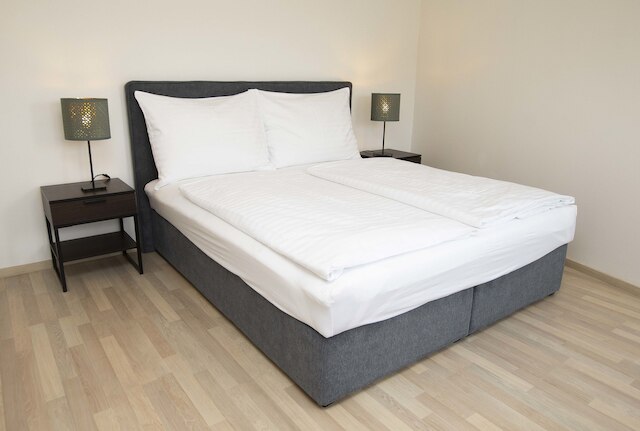 グレッグ アパートメンツ カンパ プラハ