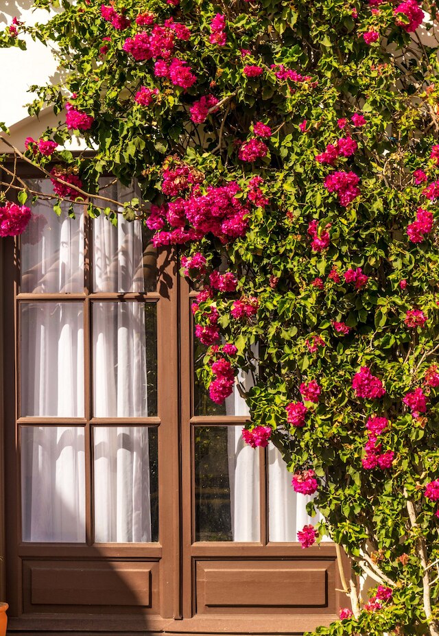 ホテル ドゥ ス マーセド