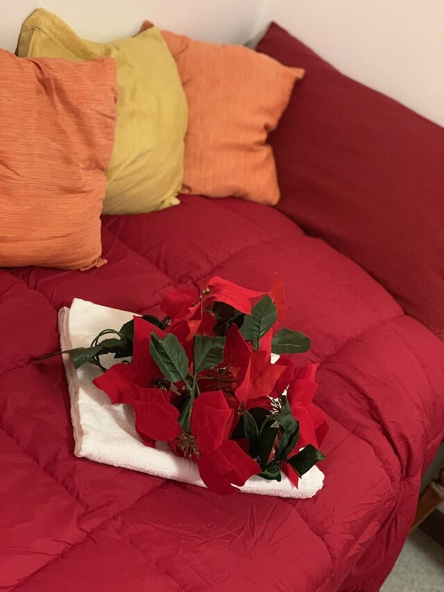 アドミラル ホーム